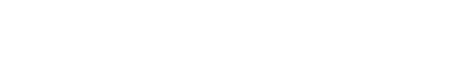 イベントの余興に